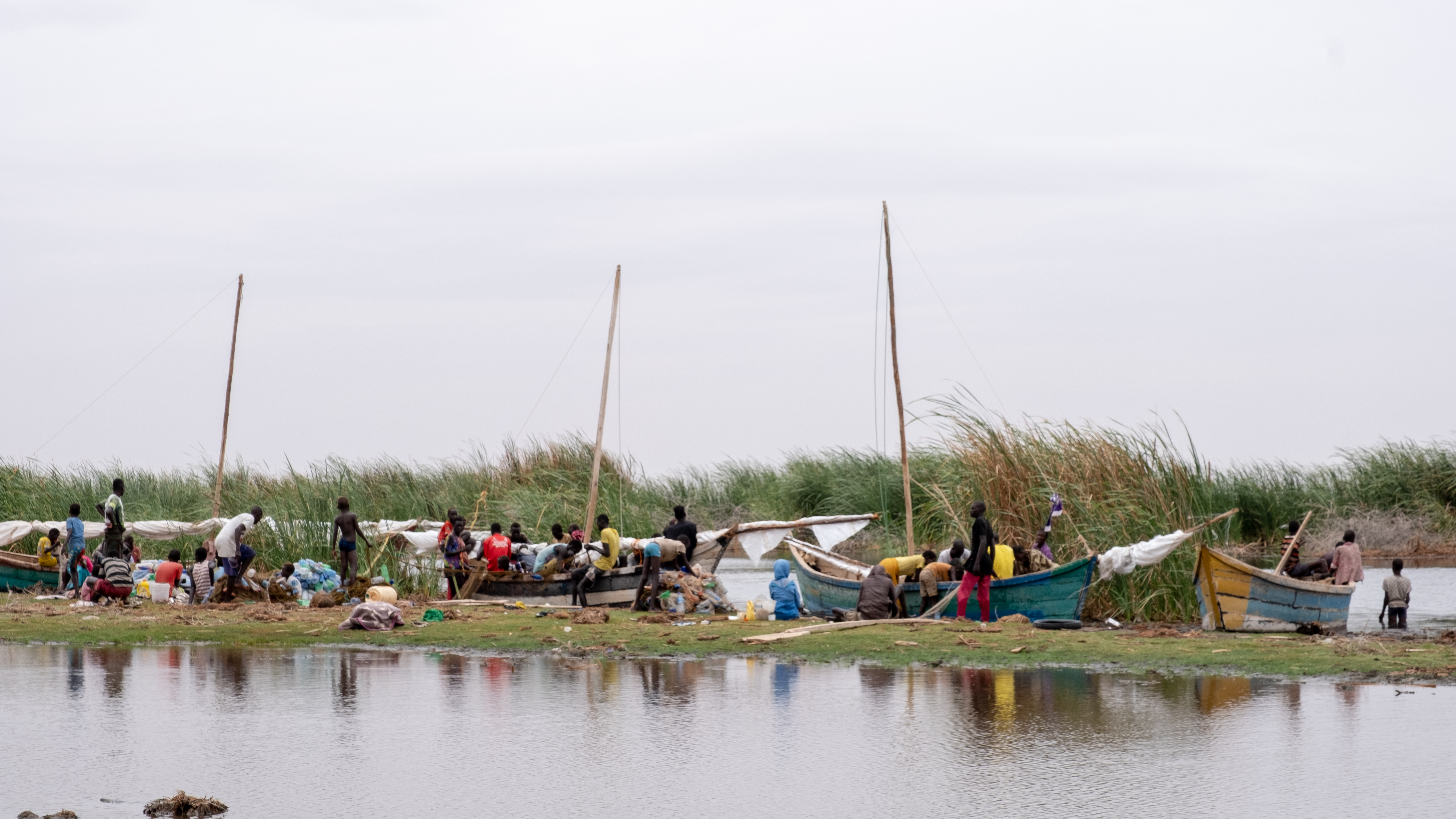 DSCF7536 Fishermen docked preparing their nets and offloading and gutting some of their catch.