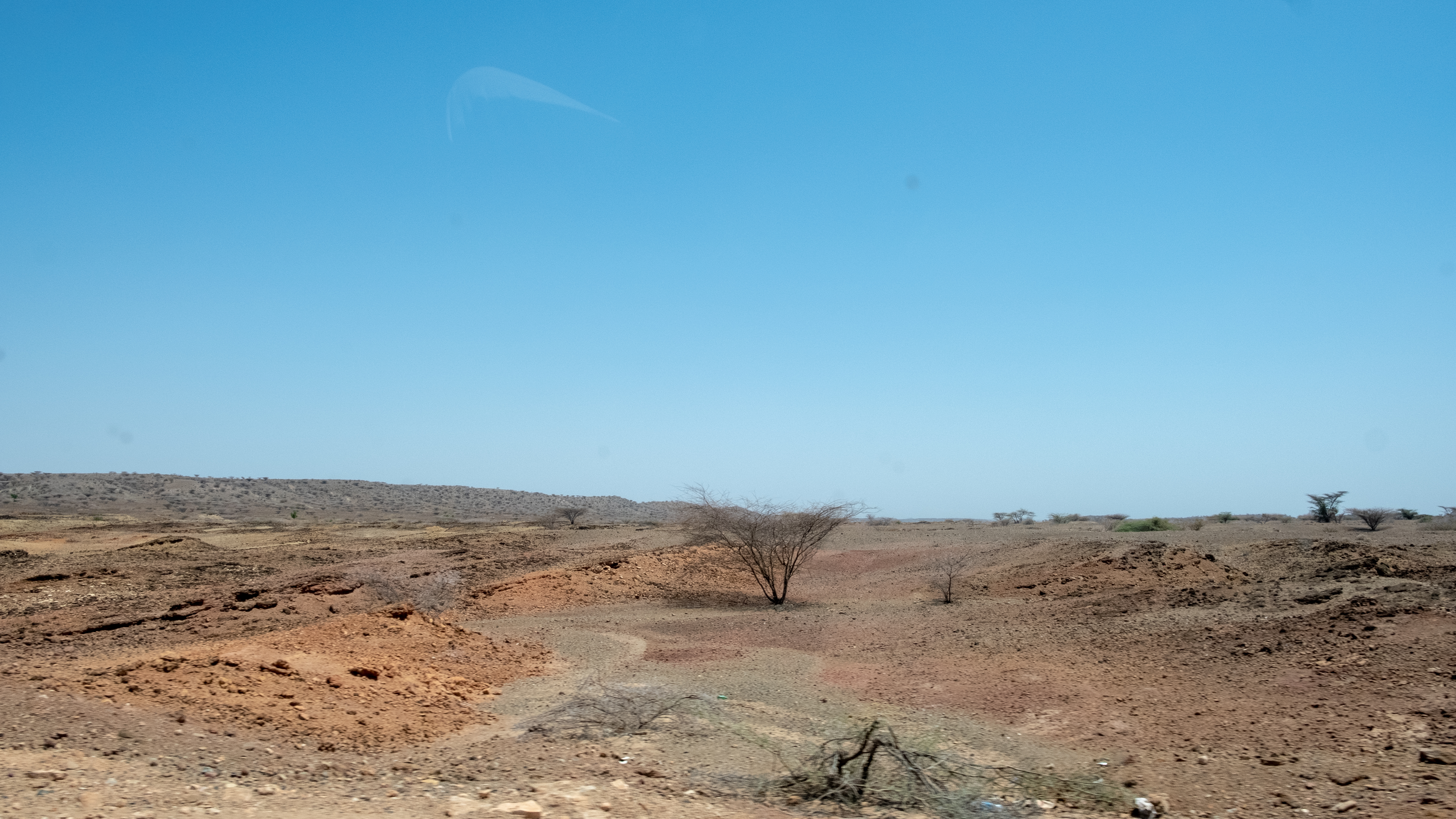 DSCF8861 Dry land harshly affected by the draught